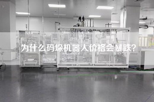 为什么码垛机器人价格会暴跌？