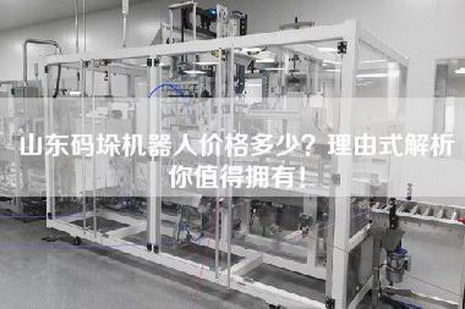 山东码垛机器人价格多少？理由式解析你值得拥有！