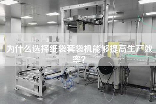 为什么选择纸袋套袋机能够提高生产效率？
