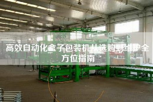 高效自动化盒子包装机从选购到维护全方位指南
