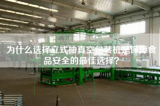 为什么选择立式抽真空包装机是保障食品安全的最佳选择？