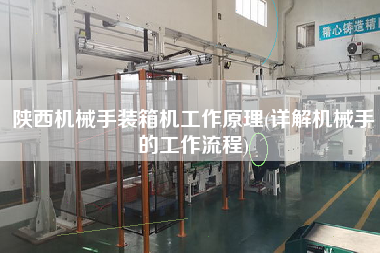 陕西机械手装箱机工作原理(详解机械手的工作流程)