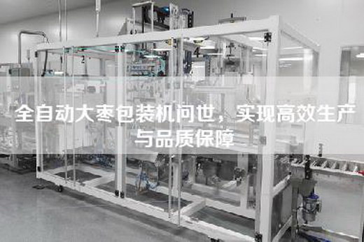 全自动大枣包装机问世，实现高效生产与品质保障