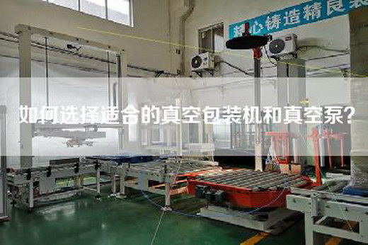如何选择适合的真空包装机和真空泵？
