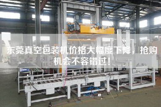 东莞真空包装机价格大幅度下降，抢购机会不容错过！
