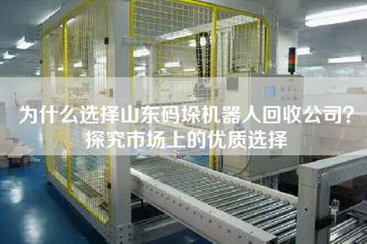 为什么选择山东码垛机器人回收公司？探究市场上的优质选择