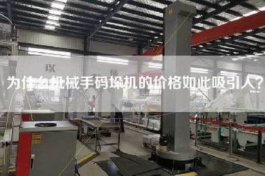 为什么机械手码垛机的价格如此吸引人？