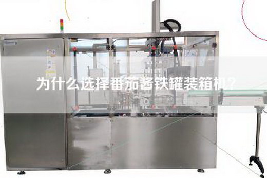 为什么选择番茄酱铁罐装箱机？