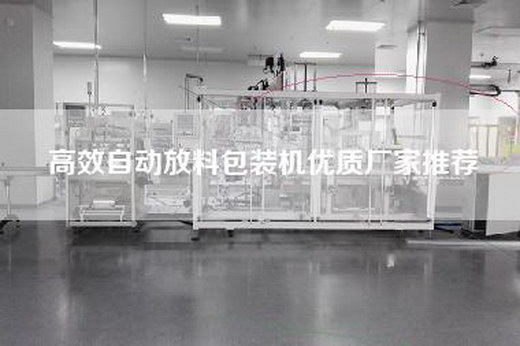 高效自动放料包装机优质厂家推荐