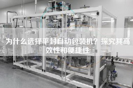 为什么选择平封自动包装机？探究其高效性和便捷性