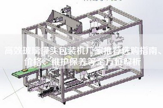 高效玻璃罐头包装机厂家推荐选购指南、价格、维护保养等全方位解析