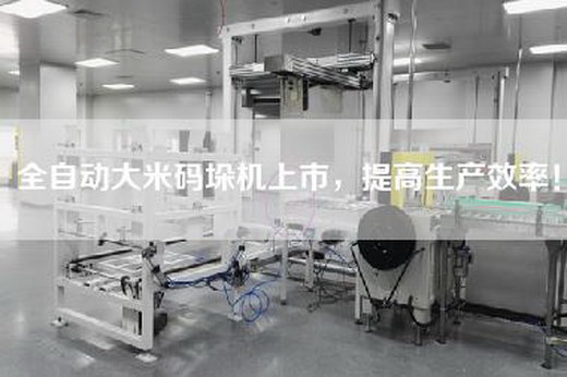 全自动大米码垛机上市，提高生产效率！
