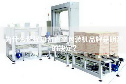 为什么选择知名真空包装机品牌是明智的决定？