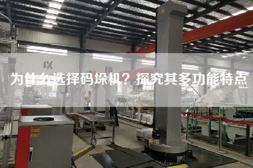 为什么选择码垛机？探究其多功能特点
