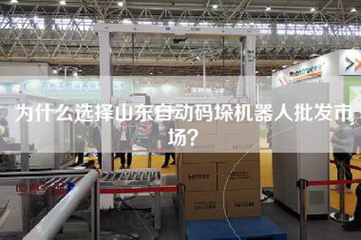 为什么选择山东自动码垛机器人批发市场？