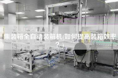 集装箱全自动装箱机(如何提高装箱效率)