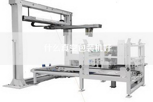 什么真空包装机好
