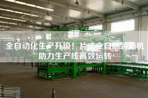 全自动化生产升级！片式全自动装箱机助力生产线高效运转
