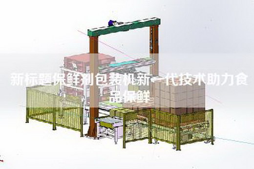新标题保鲜剂包装机新一代技术助力食品保鲜