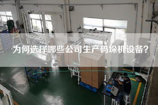 为何选择哪些公司生产码垛机设备？