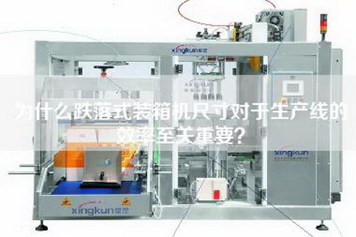 为什么跌落式装箱机尺寸对于生产线的效率至关重要？