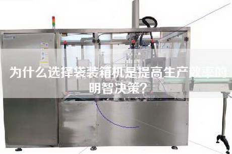 为什么选择袋装箱机是提高生产效率的明智决策？