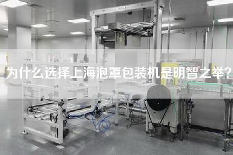 为什么选择上海泡罩包装机是明智之举？