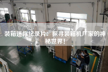 装箱迷你纪录片：探寻装箱机厂家的神秘世界！