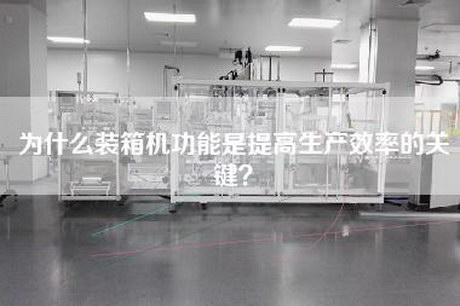 为什么装箱机功能是提高生产效率的关键？