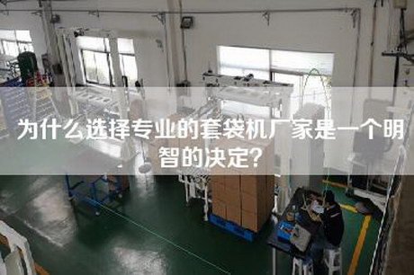 为什么选择专业的套袋机厂家是一个明智的决定？
