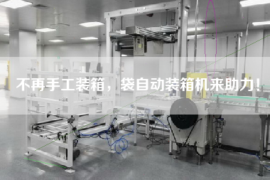 不再手工装箱，袋自动装箱机来助力！