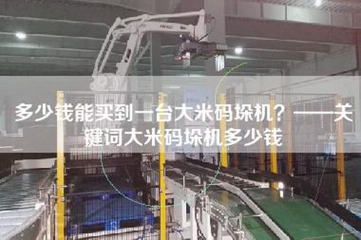 多少钱能买到一台大米码垛机？——关键词大米码垛机多少钱