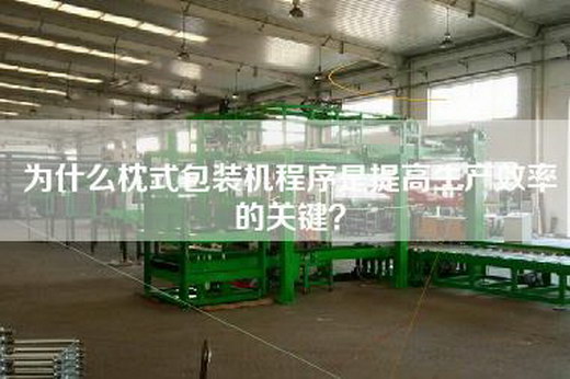 为什么枕式包装机程序是提高生产效率的关键？