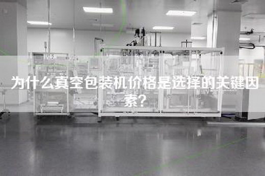 为什么真空包装机价格是选择的关键因素？