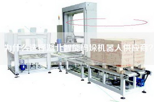 为什么选择湖北智能码垛机器人供应商？