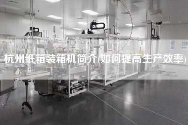 杭州纸箱装箱机简介(如何提高生产效率)