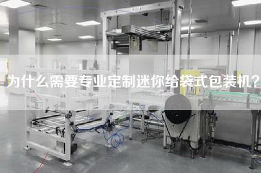 为什么需要专业定制迷你给袋式包装机？
