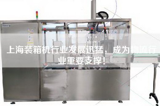 上海装箱机行业发展迅猛，成为物流行业重要支撑！