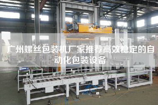 广州螺丝包装机厂家推荐高效稳定的自动化包装设备