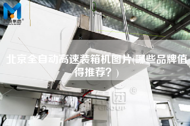 北京全自动高速装箱机图片(哪些品牌值得推荐？)