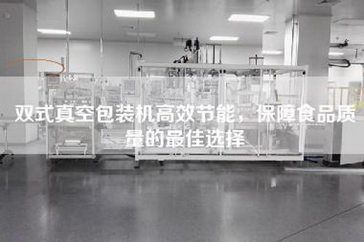 双式真空包装机高效节能，保障食品质量的最佳选择