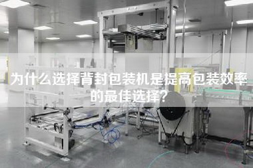 为什么选择背封包装机是提高包装效率的最佳选择？