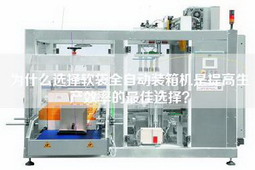 为什么选择软袋全自动装箱机是提高生产效率的最佳选择？