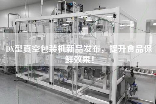 DX型真空包装机新品发布，提升食品保鲜效果！