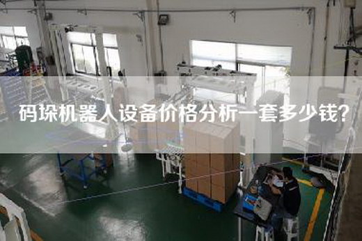 码垛机器人设备价格分析一套多少钱？