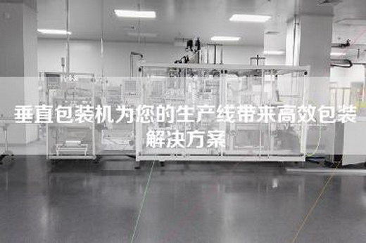 垂直包装机为您的生产线带来高效包装解决方案