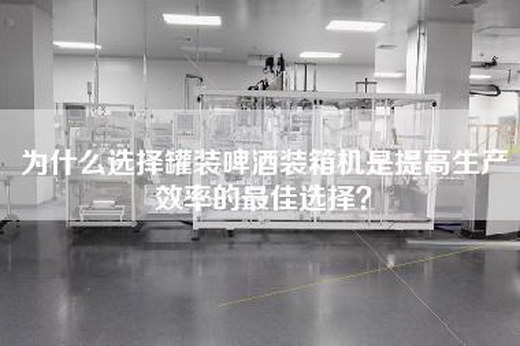 为什么选择罐装啤酒装箱机是提高生产效率的最佳选择？