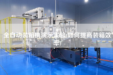 全自动装箱机演示实验(如何提高装箱效率)