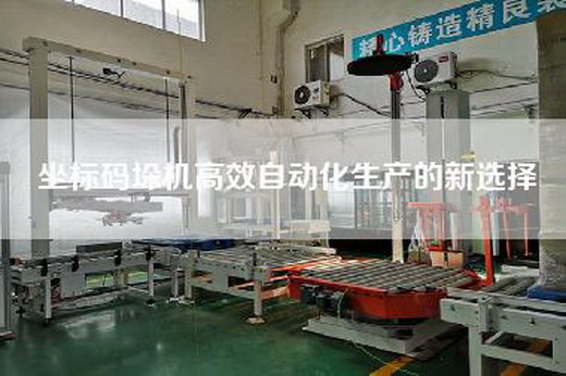 坐标码垛机高效自动化生产的新选择