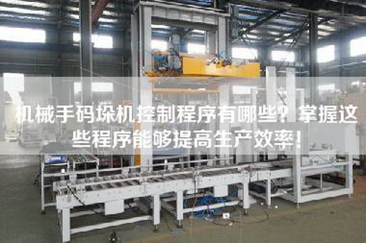 机械手码垛机控制程序有哪些？掌握这些程序能够提高生产效率！